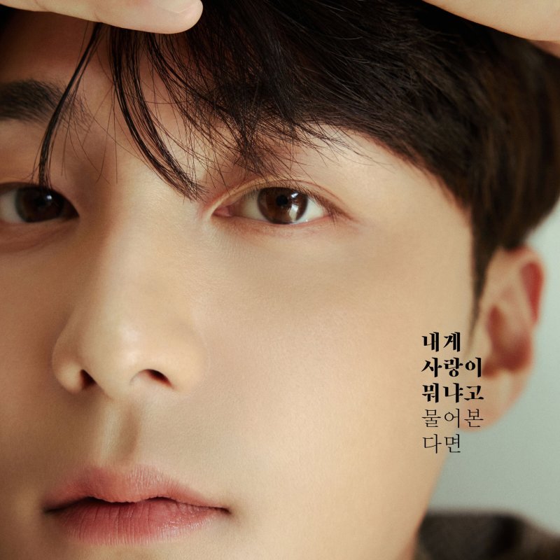 If You Ask Me What Love Is — Roy Kim
