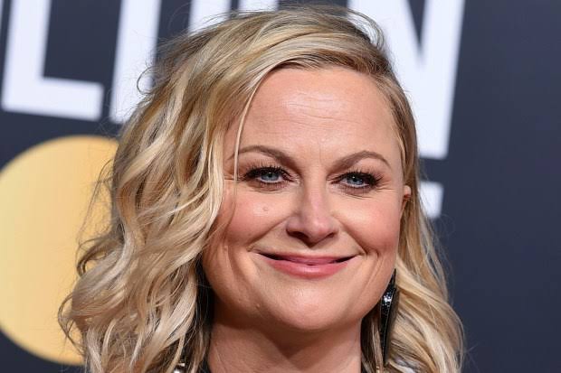 Does Amy Poehler Have A Child? A Look At The Life Of The Actress